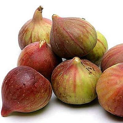 Figs
