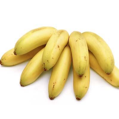 Baby Bananas