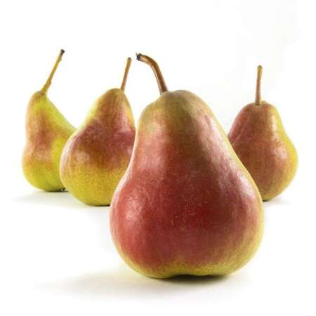 Organic Comice Pears