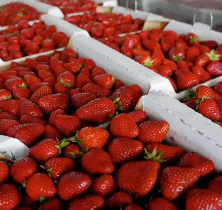 Harry's Berries Strawberries