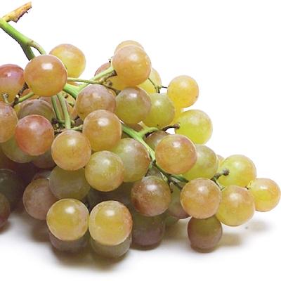 Muscatel Grapes