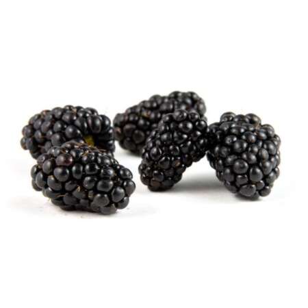 Blackberries
