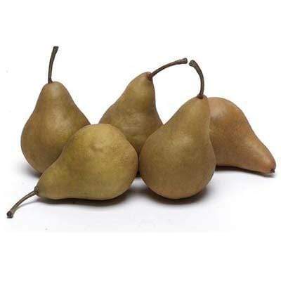 Bosc Pears