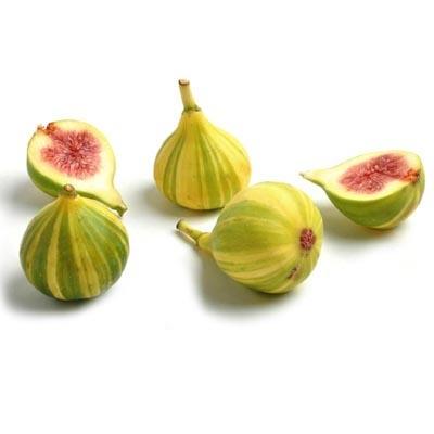 Striped Tiger Figs
