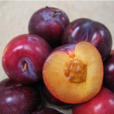 Plums