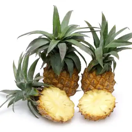 South African Baby Pineapples